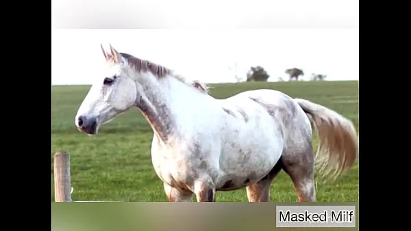 Horny Milf takes giant horse cock dildo compilation | Masked Milf Film baru yang segar